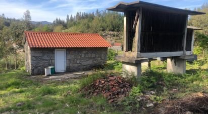 Terrain à Santa Cruz da Trapa e São Cristóvão de Lafões de 16 422 m²