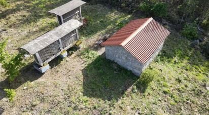 Terrain à Santa Cruz da Trapa e São Cristóvão de Lafões de 16 422 m²