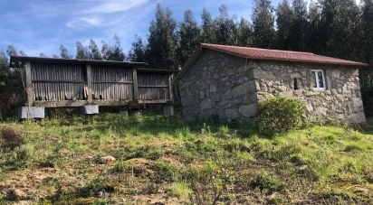 Terrain à Santa Cruz da Trapa e São Cristóvão de Lafões de 16 422 m²