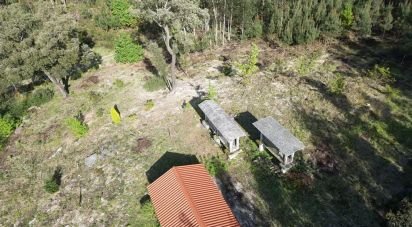 Terrain à Santa Cruz da Trapa e São Cristóvão de Lafões de 16 422 m²