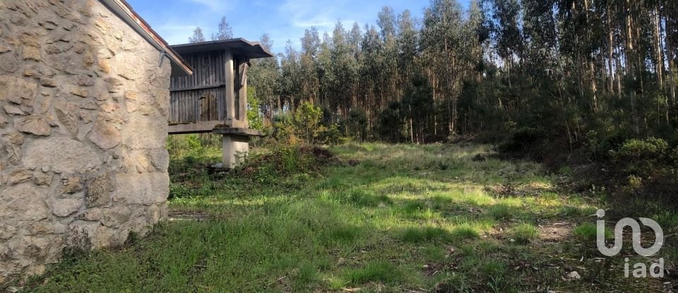 Land in Santa Cruz da Trapa e São Cristóvão de Lafões of 16,422 m²