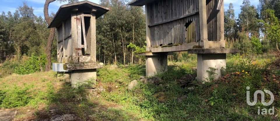 Land in Santa Cruz da Trapa e São Cristóvão de Lafões of 16,422 m²