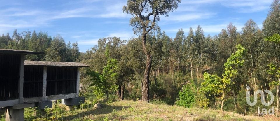 Land in Santa Cruz da Trapa e São Cristóvão de Lafões of 16,422 m²