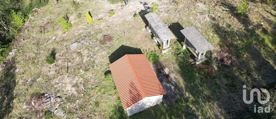 Land in Santa Cruz da Trapa e São Cristóvão de Lafões of 16,422 m²