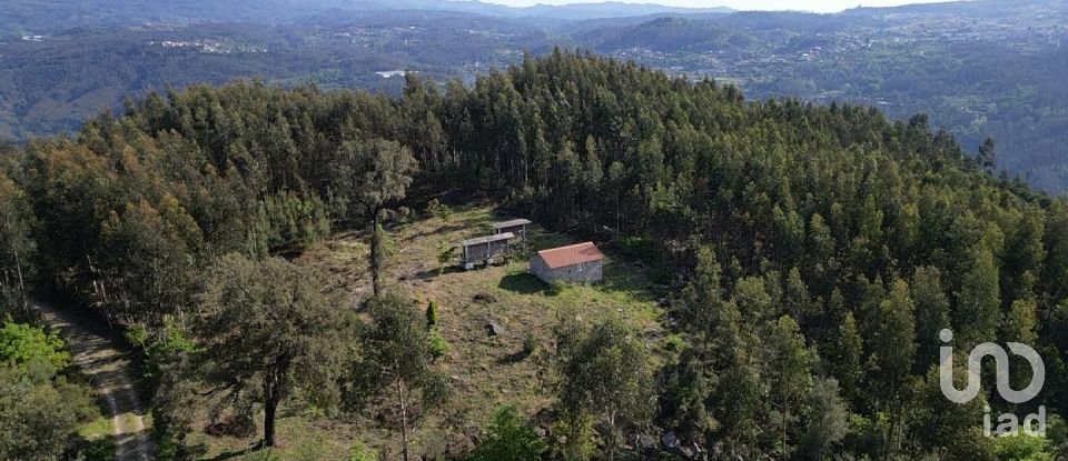 Land in Santa Cruz da Trapa e São Cristóvão de Lafões of 16,422 m²