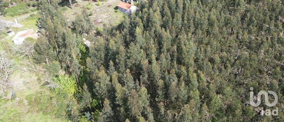 Land in Santa Cruz da Trapa e São Cristóvão de Lafões of 16,422 m²