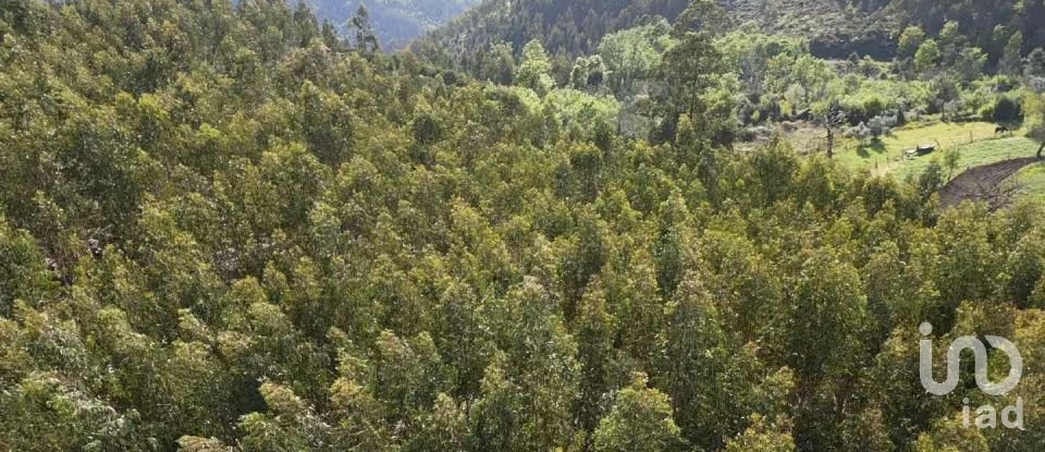 Land in Santa Cruz da Trapa e São Cristóvão de Lafões of 16,422 m²