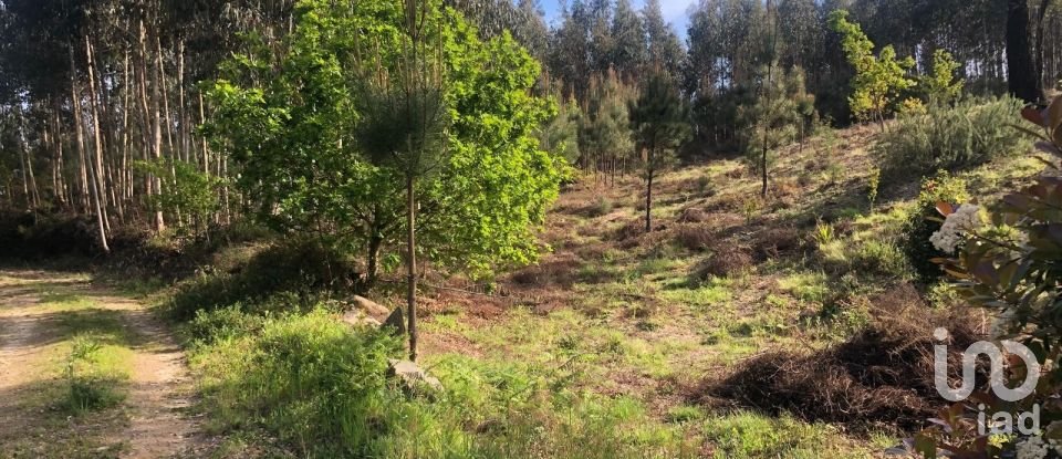 Land in Santa Cruz da Trapa e São Cristóvão de Lafões of 16,422 m²