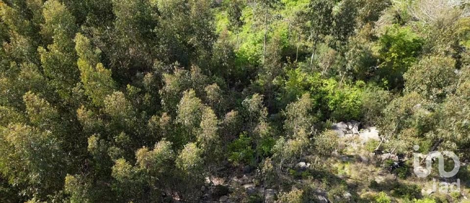 Land in Santa Cruz da Trapa e São Cristóvão de Lafões of 16,422 m²