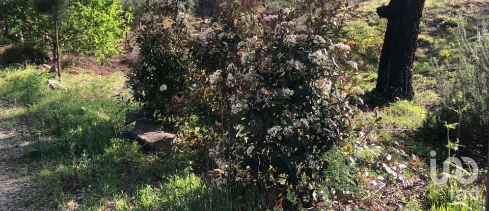 Land in Santa Cruz da Trapa e São Cristóvão de Lafões of 16,422 m²