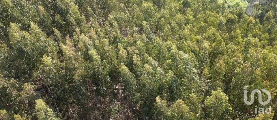 Land in Santa Cruz da Trapa e São Cristóvão de Lafões of 16,422 m²