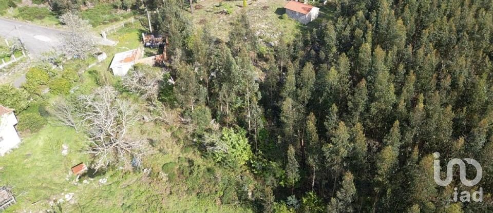 Land in Santa Cruz da Trapa e São Cristóvão de Lafões of 16,422 m²