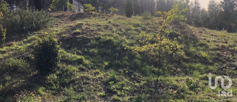 Land in Santa Cruz da Trapa e São Cristóvão de Lafões of 16,422 m²