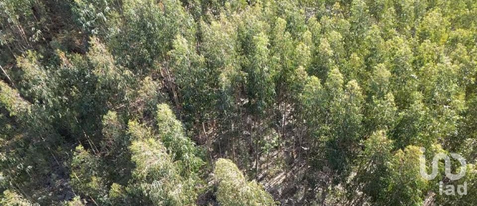 Land in Santa Cruz da Trapa e São Cristóvão de Lafões of 16,422 m²