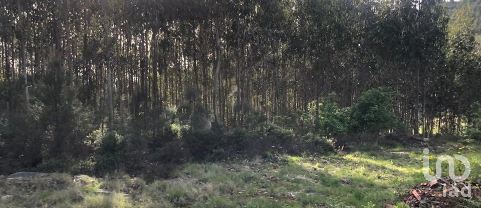 Land in Santa Cruz da Trapa e São Cristóvão de Lafões of 16,422 m²