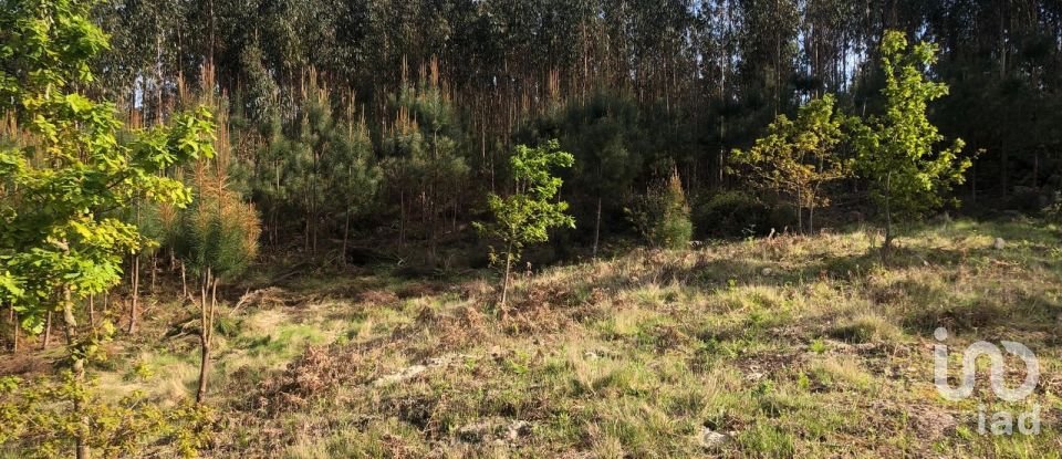 Land in Santa Cruz da Trapa e São Cristóvão de Lafões of 16,422 m²