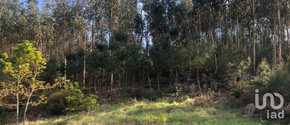 Land in Santa Cruz da Trapa e São Cristóvão de Lafões of 16,422 m²