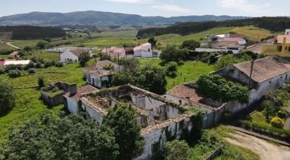 Quinta T0 em Cadaval e Pêro Moniz de 369 m²