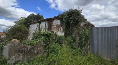 Farm T0 in Cadaval e Pêro Moniz of 369 m²