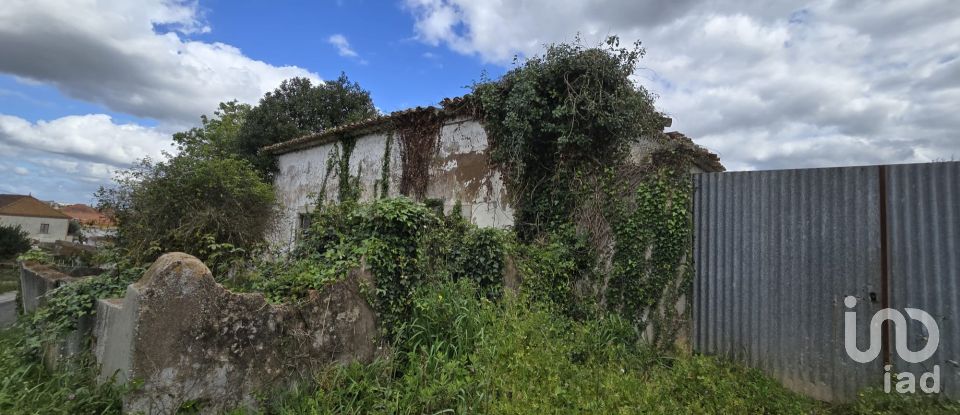 Quinta T0 em Cadaval e Pêro Moniz de 369 m²