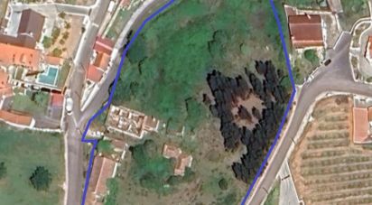 Farm T0 in Cadaval e Pêro Moniz of 369 m²