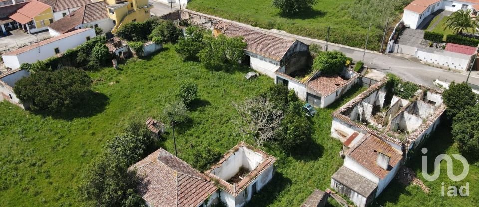 Quinta T0 em Cadaval e Pêro Moniz de 369 m²