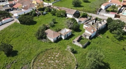 Farm T0 in Cadaval e Pêro Moniz of 369 m²