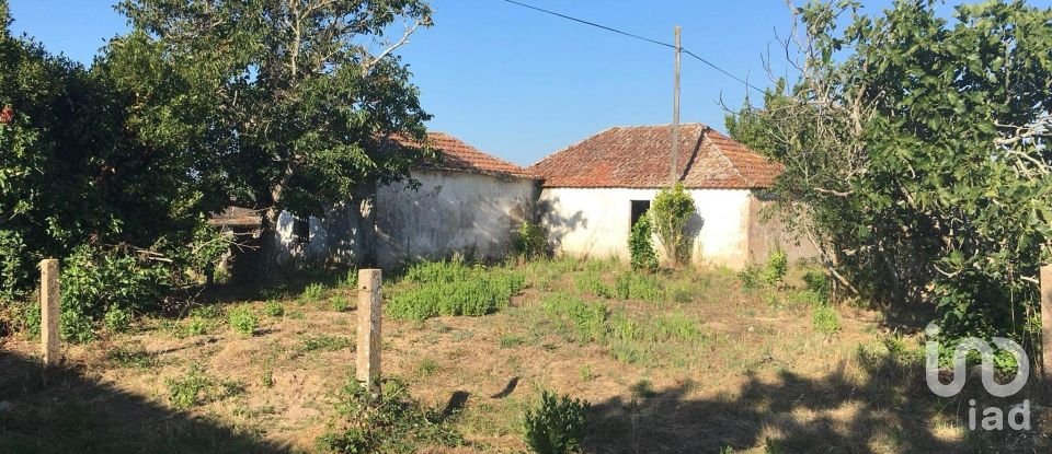 Quinta T0 em Cadaval e Pêro Moniz de 369 m²