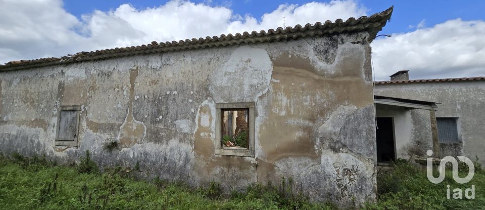 Quinta T0 em Cadaval e Pêro Moniz de 369 m²