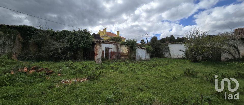 Farm T0 in Cadaval e Pêro Moniz of 369 m²