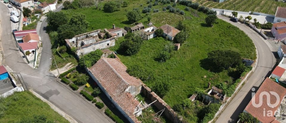 Quinta T0 em Cadaval e Pêro Moniz de 369 m²