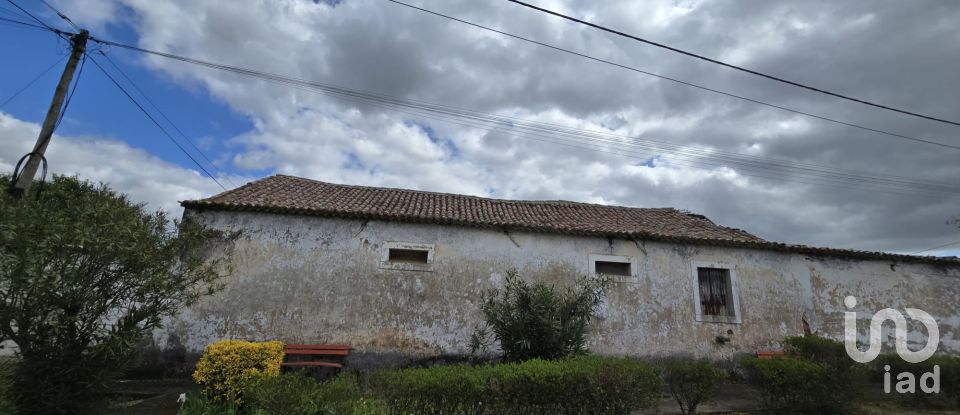 Quinta T0 em Cadaval e Pêro Moniz de 369 m²