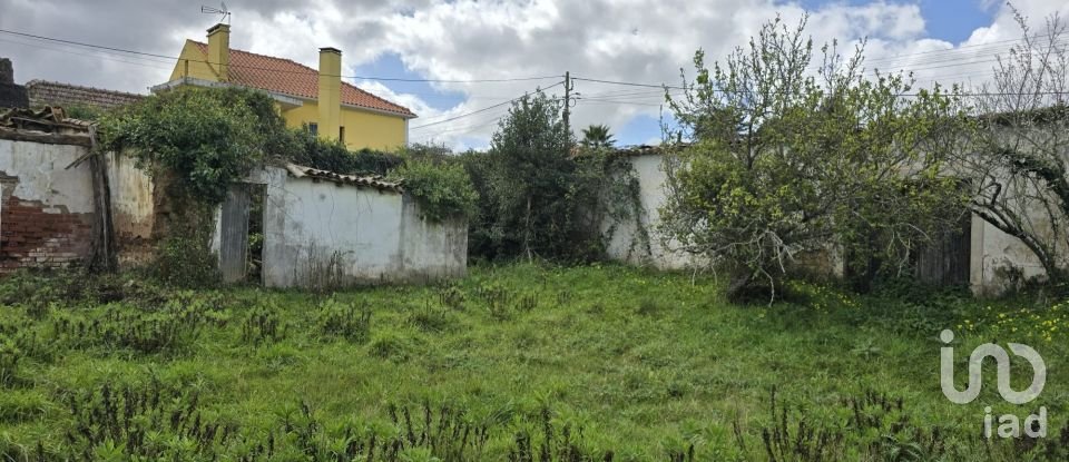 Quinta T0 em Cadaval e Pêro Moniz de 369 m²