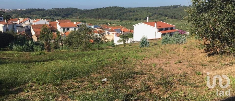 Quinta T0 em Cadaval e Pêro Moniz de 369 m²