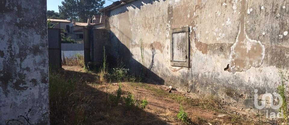 Quinta T0 em Cadaval e Pêro Moniz de 369 m²