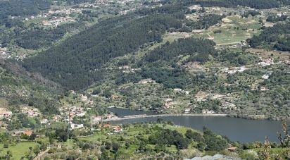 Ferme T0 à Freigil e Miomães de 71 900 m²