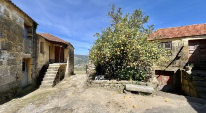 Ferme T0 à Freigil e Miomães de 71 900 m²