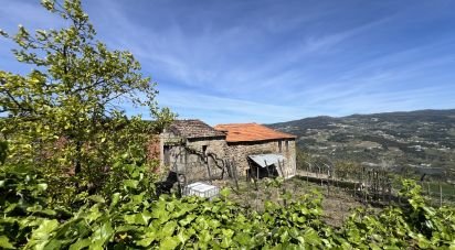 Ferme T0 à Freigil e Miomães de 71 900 m²