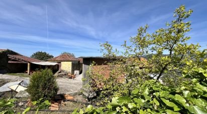 Ferme T0 à Freigil e Miomães de 71 900 m²