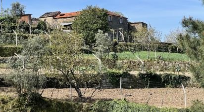 Ferme T0 à Freigil e Miomães de 71 900 m²