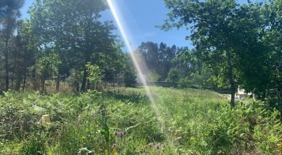 Building plot in Longos Vales of 1,770 m²