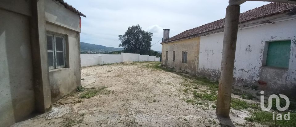 Village house T2 in Lamas e Cercal of 168 m²