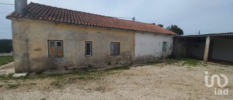 Village house T2 in Lamas e Cercal of 168 m²