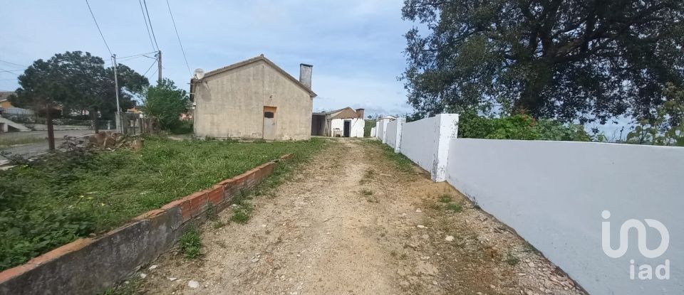 Casa de aldeia T2 em Lamas e Cercal de 168 m²