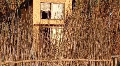 Terrain à Ferrel de 5 080 m²