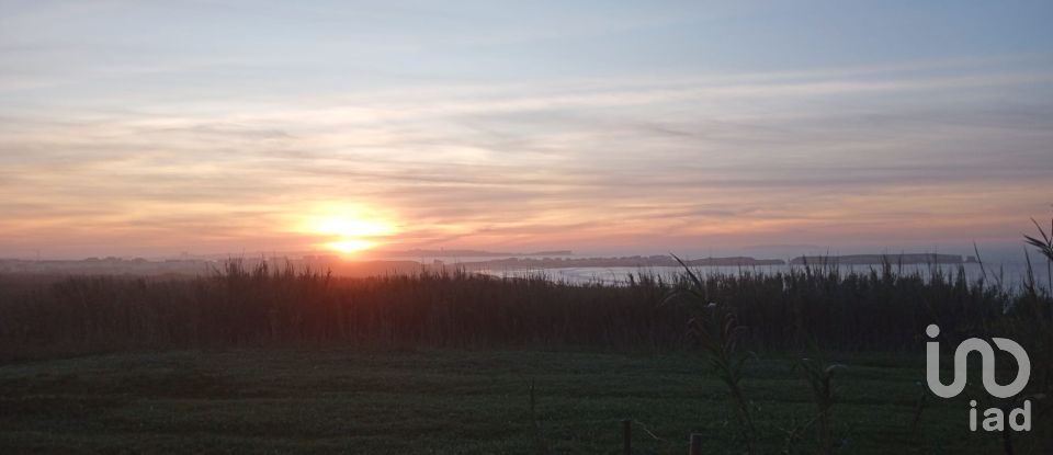 Terreno em Ferrel de 5 080 m²