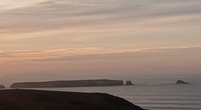 Terrain à Ferrel de 5 080 m²