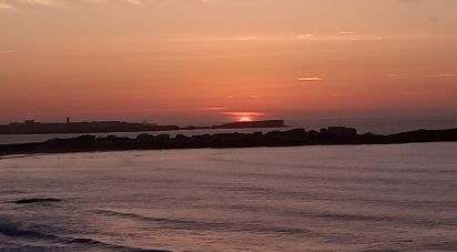 Terrain à Ferrel de 5 080 m²