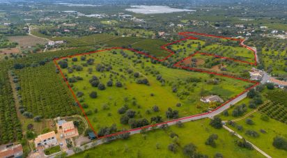 Farm T3 in Luz de Tavira e Santo Estêvão of 362 m²