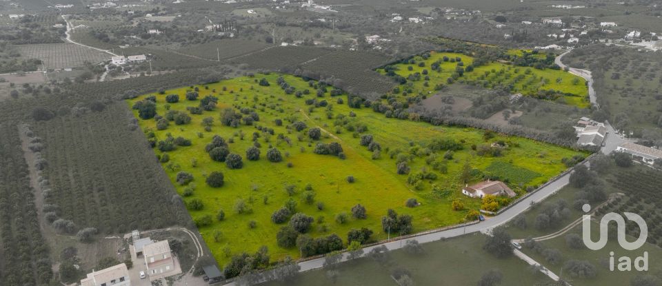 Farm T3 in Luz de Tavira e Santo Estêvão of 362 m²